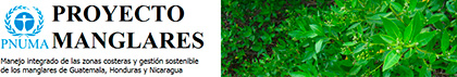 haga click aquí para ver sitio web
